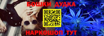 индика Партизанск