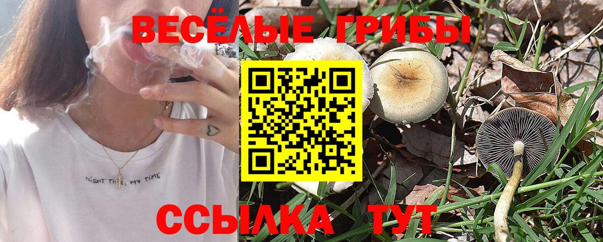 Галлюциногенные грибы GOLDEN TEACHER  Псилоцибиновые грибы прущие грибы  Симферополь  Вход с VPN 