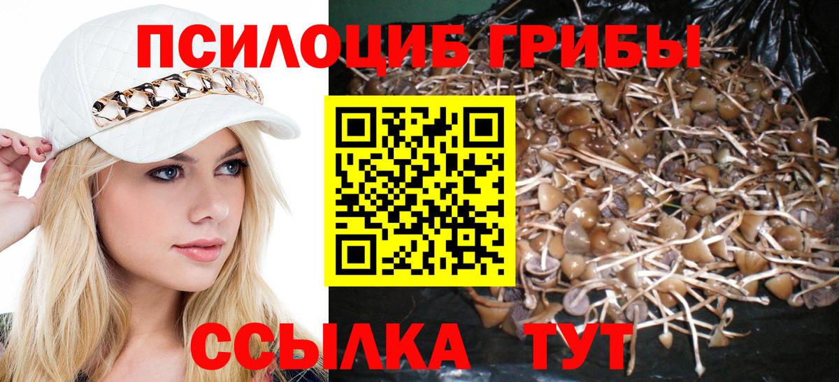 Галлюциногенные грибы мицелий Симферополь